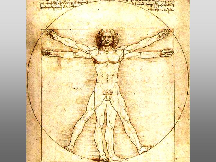 Vitruvian Mężczyzna by Leonardo Da Vinci