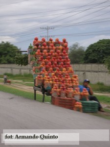 Sprzedawca mango przy autostradzie