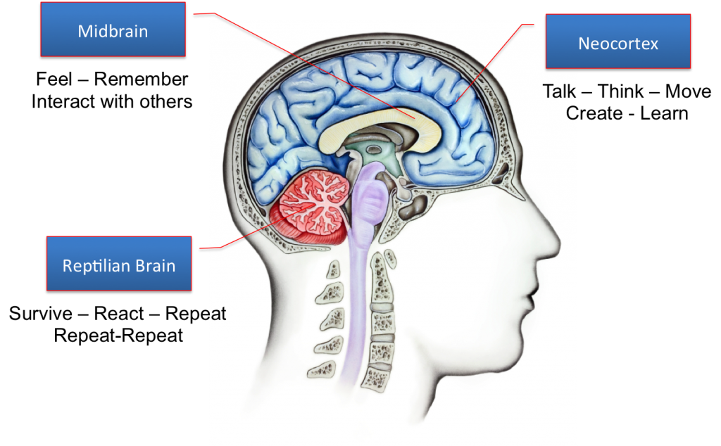 Reptilian Brain jest częścią ludzkiego mózgu