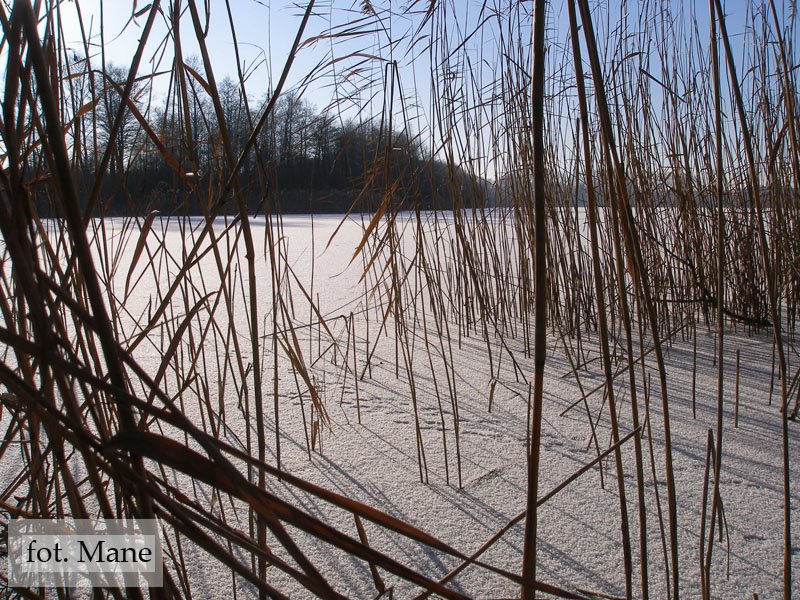 Jezioro Palędzkie