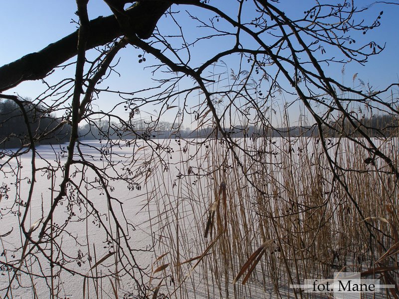 Jezioro Palędzkie